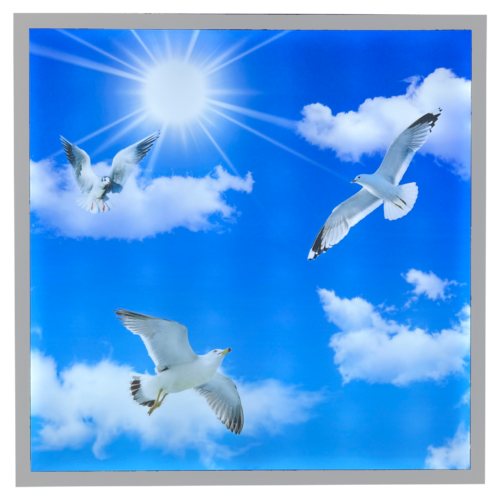Bird & Sky LED Ceiling Panel Light | 600 x 600mm | Anti-Yellowing