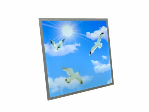 Bird & Sky Panel Ceiling Light| 600x600mm Ceiling Light | Anti-Yellowing