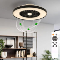 Black Ceiling Fan Light