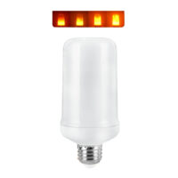 LED Flame Bulb - 3W