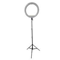 Modern Ring Floor light